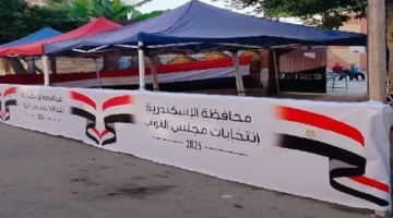 المحافظات الثمانية.. المرحلة الثانية من انتخابات 2025 تكشف نظام الاقتراع بين الفردي والقائمة